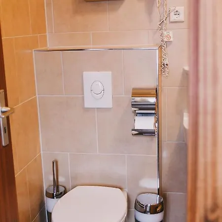 Hotel-pension Odin Гостевой дом 2*